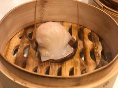 鲜芦笋炒深海虾皇-金鼎轩(亚运村店)