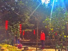 -杨家堂村