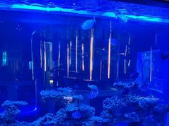 -上和臻品中国菜(花园街店)