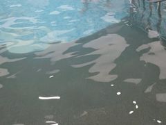 -东方之珠洗浴休闲广场(南开店)