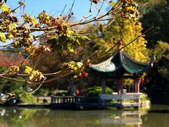 -江心屿景区