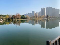 -洋湖国家湿地公园