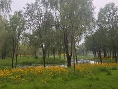 -东郊湿地公园