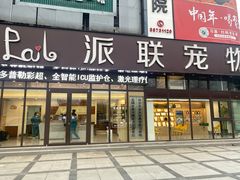 -派联宠物医院·24h·CT·异宠