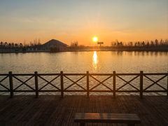-盐城丹顶鹤湿地生态旅游区