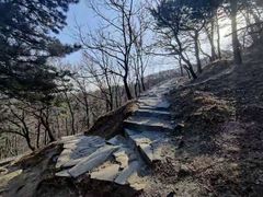 -鹫峰国家森林公园