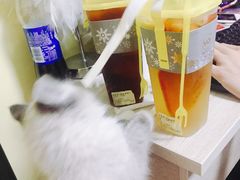 -YO!TEA有茶(龙华星河盛世店)