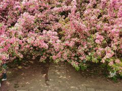 -元大都城垣遗址公园