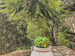 -白水寺森林公园