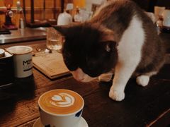 -凡人&庄阿姨的辣(万寿亭店)