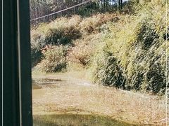 -湖泉水云间餐厅·弥勒地道菜(B座店)