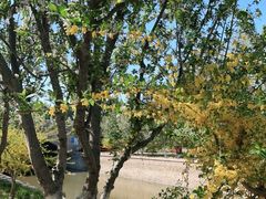 -元大都城垣遗址公园