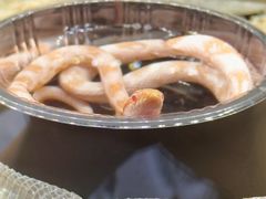 -酷以爬仙阁实体爬宠店·守宫·蜥蜴·专业繁育