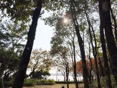 -深圳湾公园(南山区)
