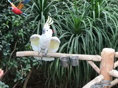 景点-南宫五洲植物乐园