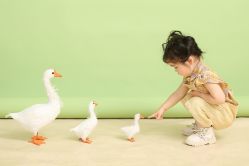 -童年时光专业儿童摄影(龙首店)