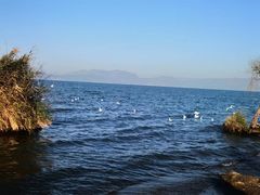 -捞渔河湿地公园