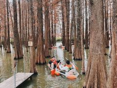 -星湖旅游景区七星岩