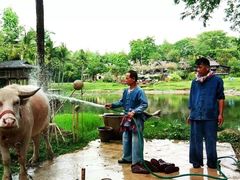 -四季酒店下午茶