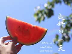 -御林古桑园