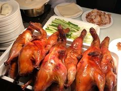 -星伦多自助料理·涮烤一体(嘉兴八佰伴店)