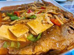 黄鱼烧豆腐-钟记家菜(红专南路店)