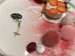 -哈根达斯(深圳海岸城店)