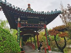 -迎泽公园