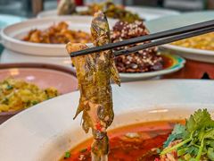 -院8里·少城记忆老川菜(宽窄巷子店)