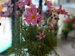 -Dal Cuore 达可芮冰淇淋(陕西北路店)