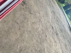 -南戴河国际娱乐中心