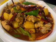 新疆大盘鸡-新疆红柳花餐厅(新洲店)