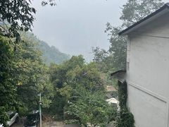 -涂山寺素食餐厅