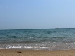 -巨鹏飞梦幻海岸