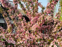 -元大都城垣遗址公园