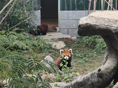 -南昌动物园