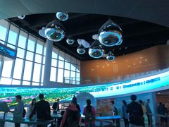 -漩门湾国家湿地公园