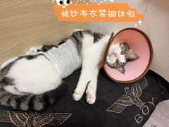 -美美宠物诊疗中心·异宠·骨科(滨江东信分院)