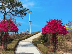 -罗浮山嘉宝田森林温泉度假酒店