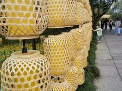 -西溪国家湿地公园