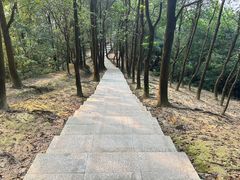 -火炉山森林公园
