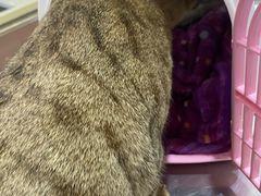 -瑞鹏动物医院宠美康(扬子江路分院)