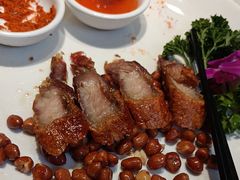 -金龙寨(龙城路店)