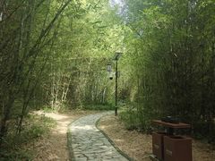 -开平碉楼文化旅游区马降龙景区