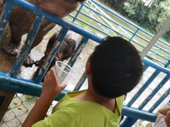 -广州长隆飞鸟乐园
