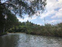 -同里国家湿地公园
