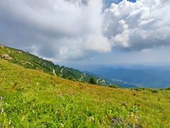 -白草畔自然风景区