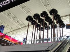 -BLACKSWAN黑天鹅(环球店)