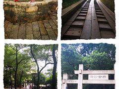 -白沙古井