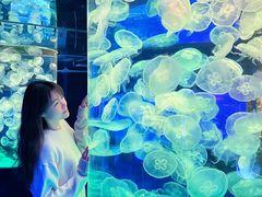 -左海海底世界